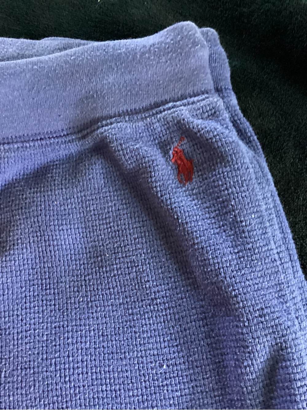 Polo by Ralph Lauren Purple Terry Joggers with Red Pony Logo